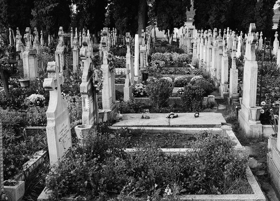 Do you know who decides what happens to your body when you die?